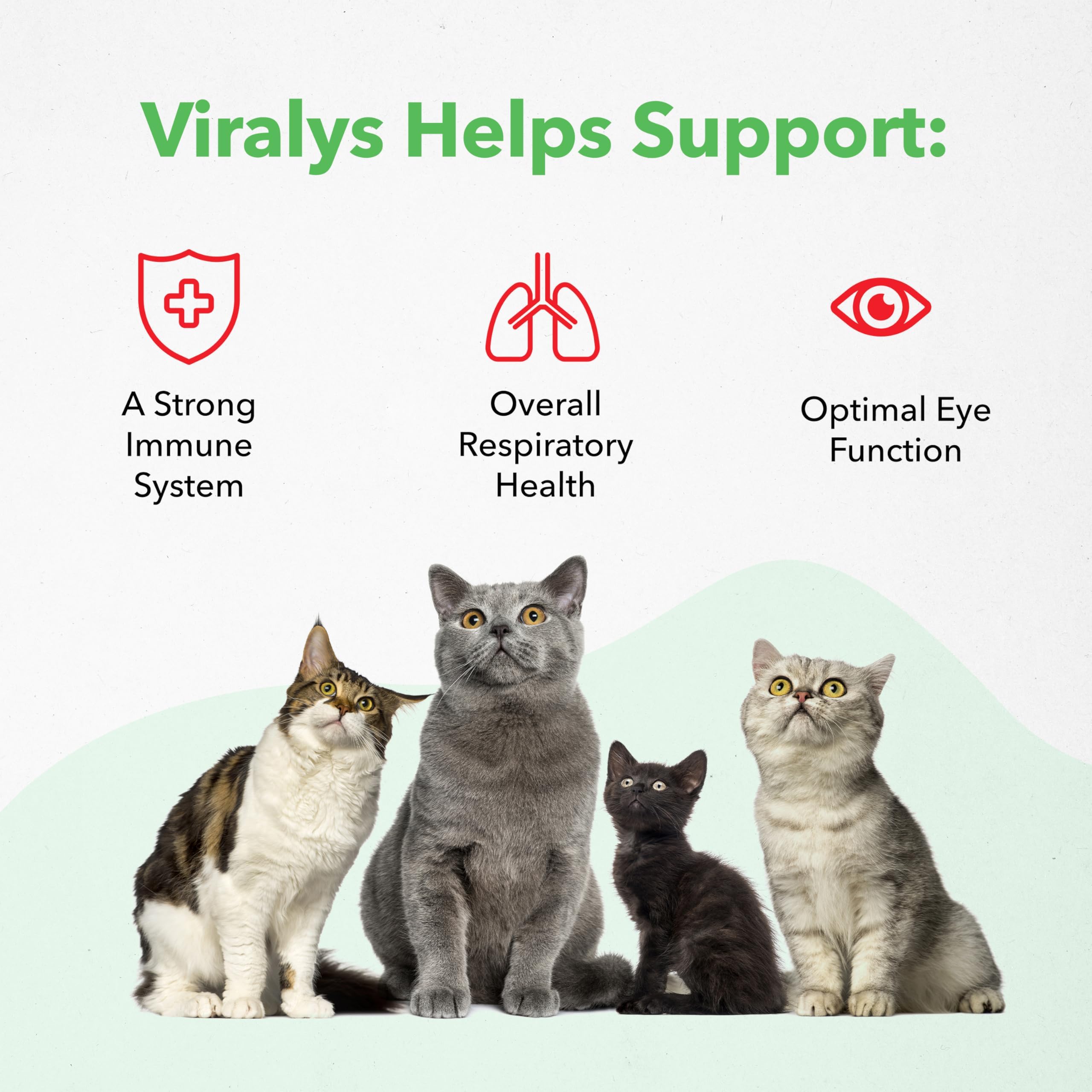 Vetoquinol Viralys kitten lysine supplement beside bowl during feeding.