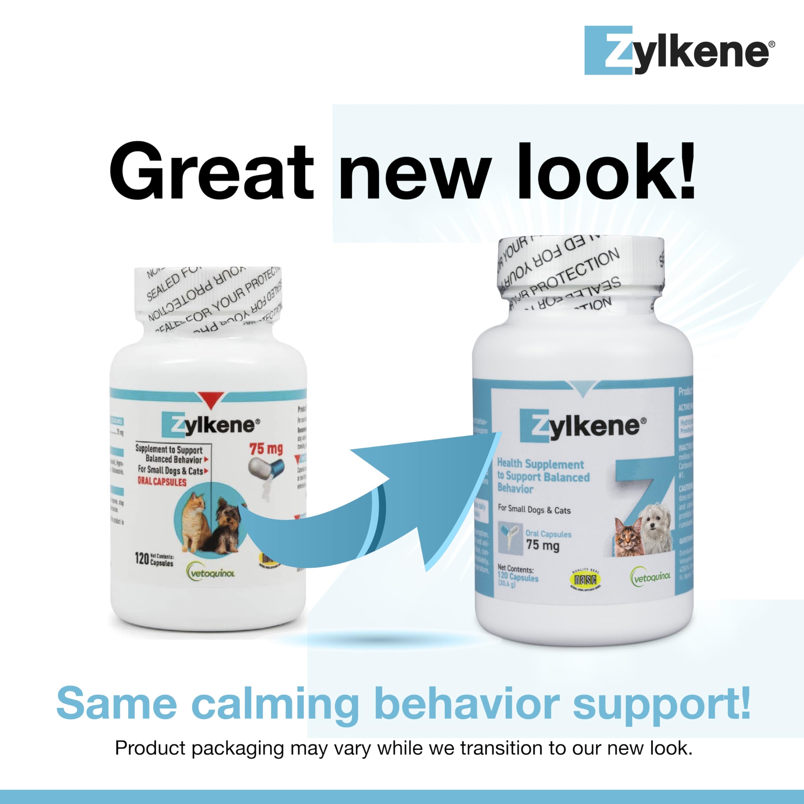 Dog eats Zylkene capsule mixed with food for calmness