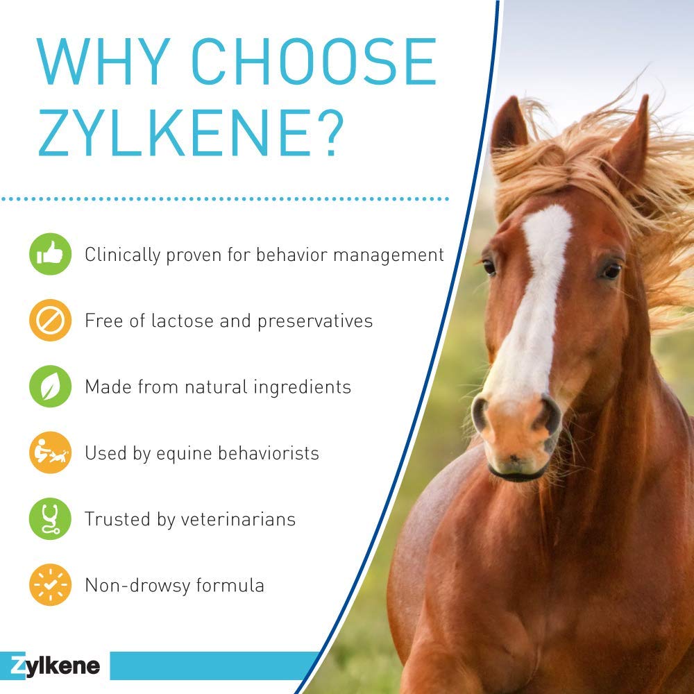 Vetoquinol Zylkene Equine travel case image suggests stress support on the road.