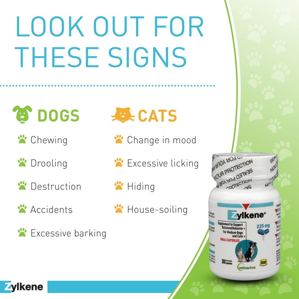 Vetoquinol Zylkene milk protein alpha-casozepine ingredient for natural calming.