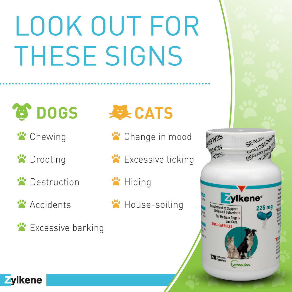 Vetoquinol Zylkene packaging front highlighting lactose-free formula for sensitive stomachs.