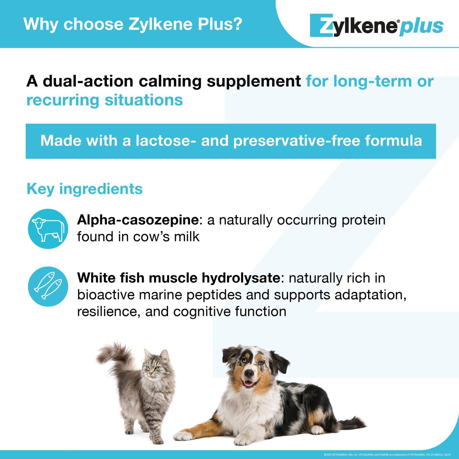 Vetoquinol Zylkene Plus cat image with relaxed posture indicating long-term calm.