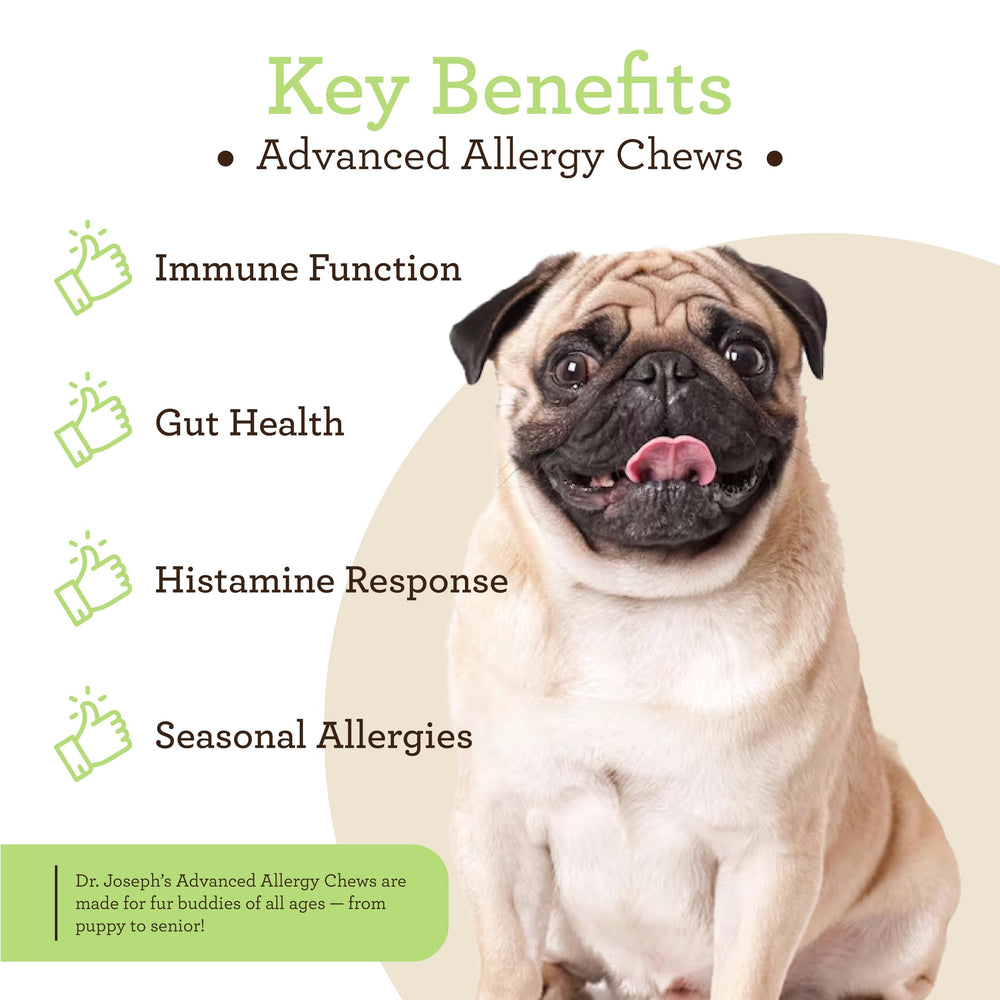 VetPro Complete Advanced Allergy colostrum — immune balance for dogs