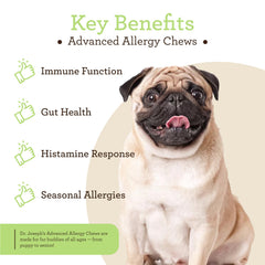 VetPro Complete Advanced Allergy colostrum — immune balance for dogs