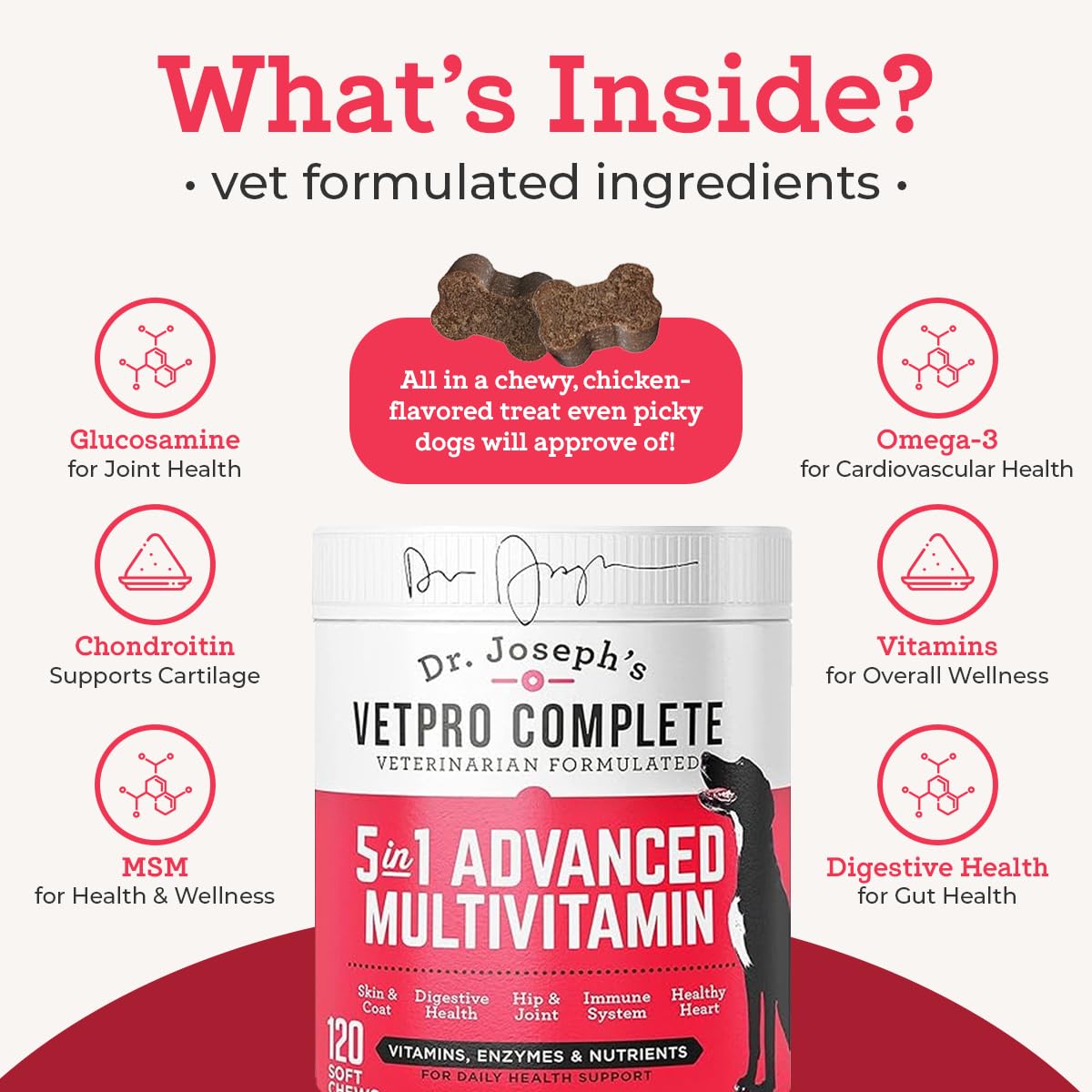 VetPro Complete immunity-boost chew visual hinting stronger everyday defense.