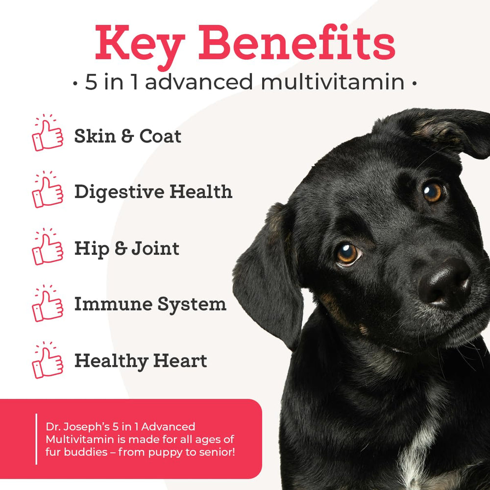 VetPro Complete joint-health chew shown for active daily movement support.
