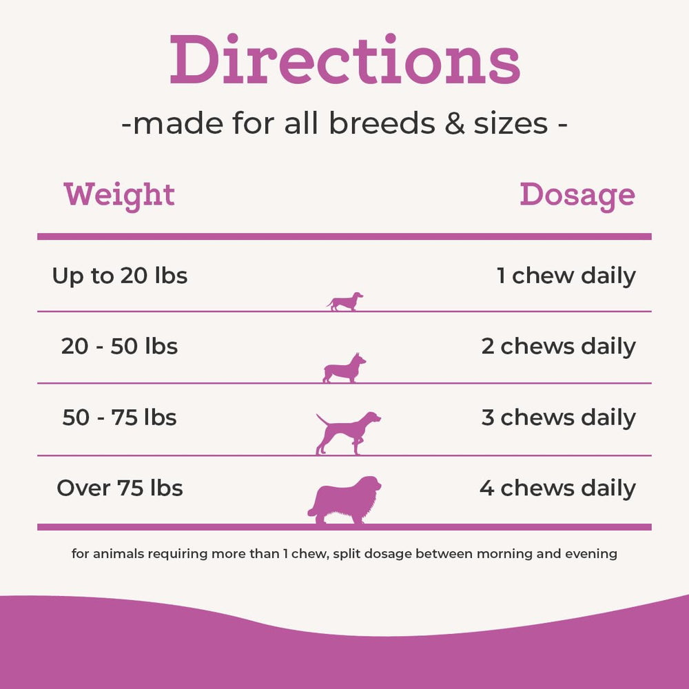 VetPro Complete bone-shaped chews on shelf highlighting flavor and texture.