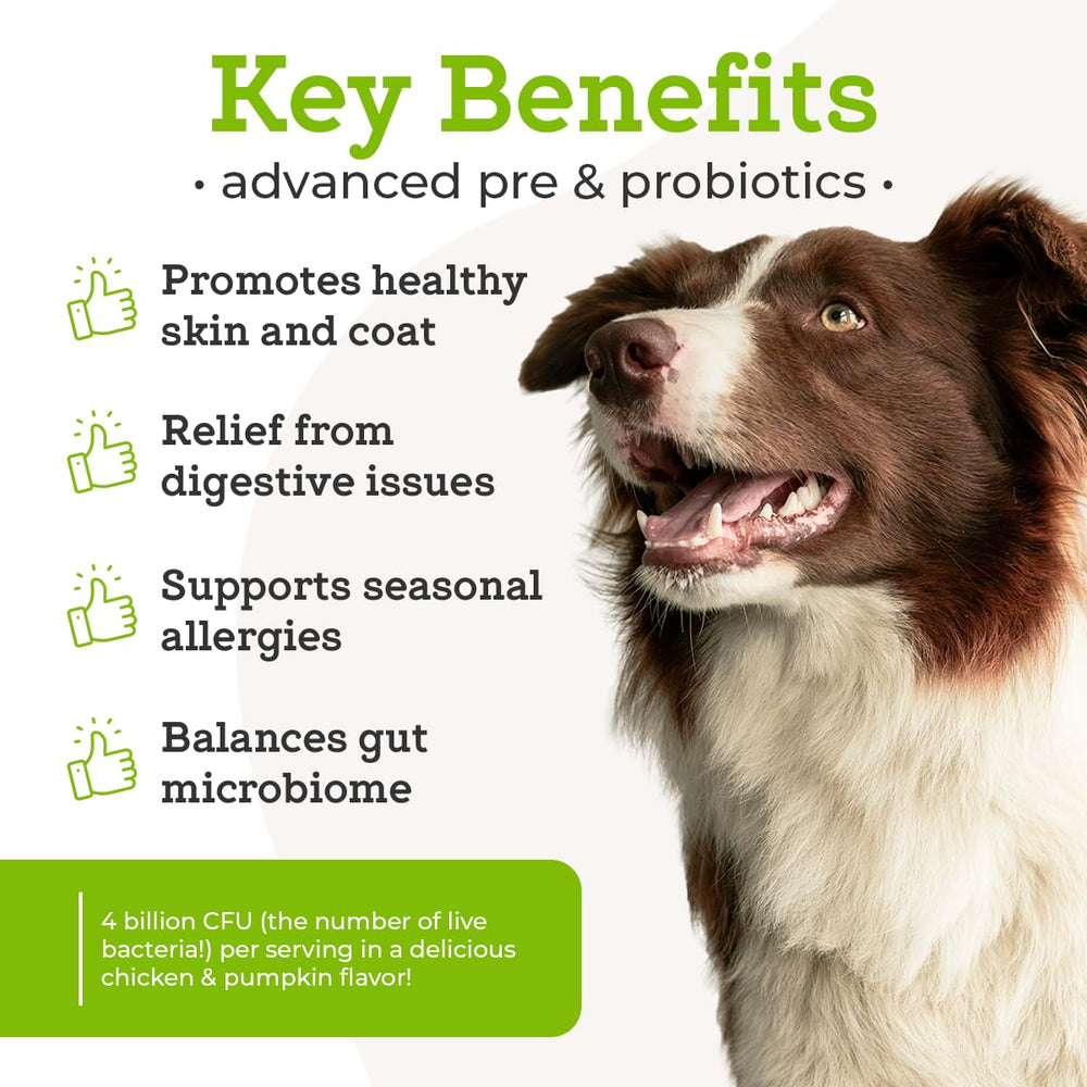Scooping VetPro Complete probiotic powder onto dog food for easy topper administration