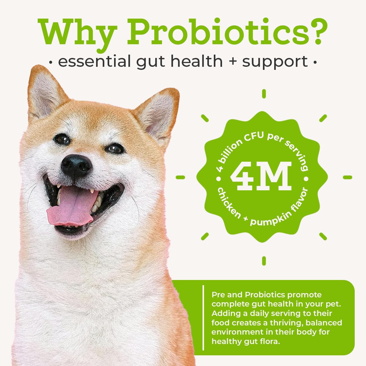 Spirulina in VetPro Complete supports immune function and vitality
