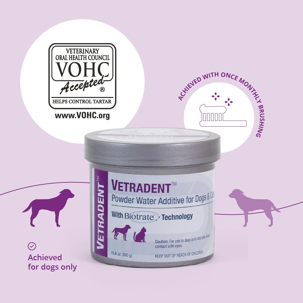 Vetradent powder water additive dog drinking from a bowl highlights easy integration into daily care.