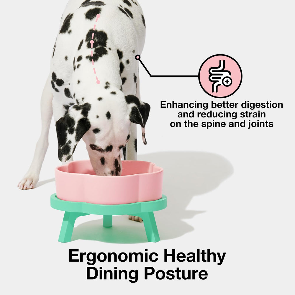 VETRESKA bamboo-stand-dog-feeding-dish stable elevated setup during meals