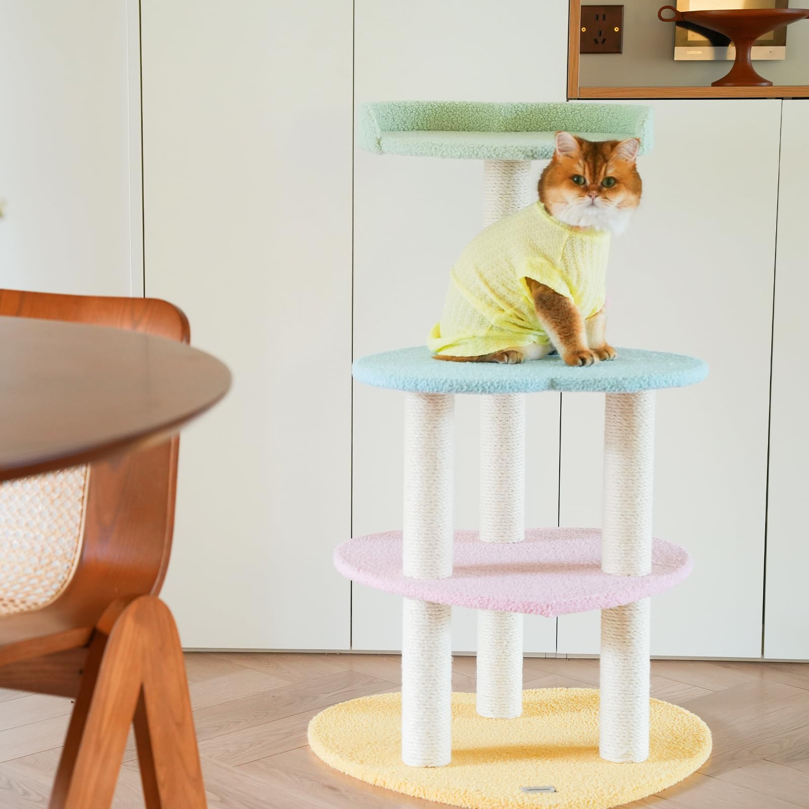 Vetreska cat tree serves as a nap nook and lookout for curious cats.