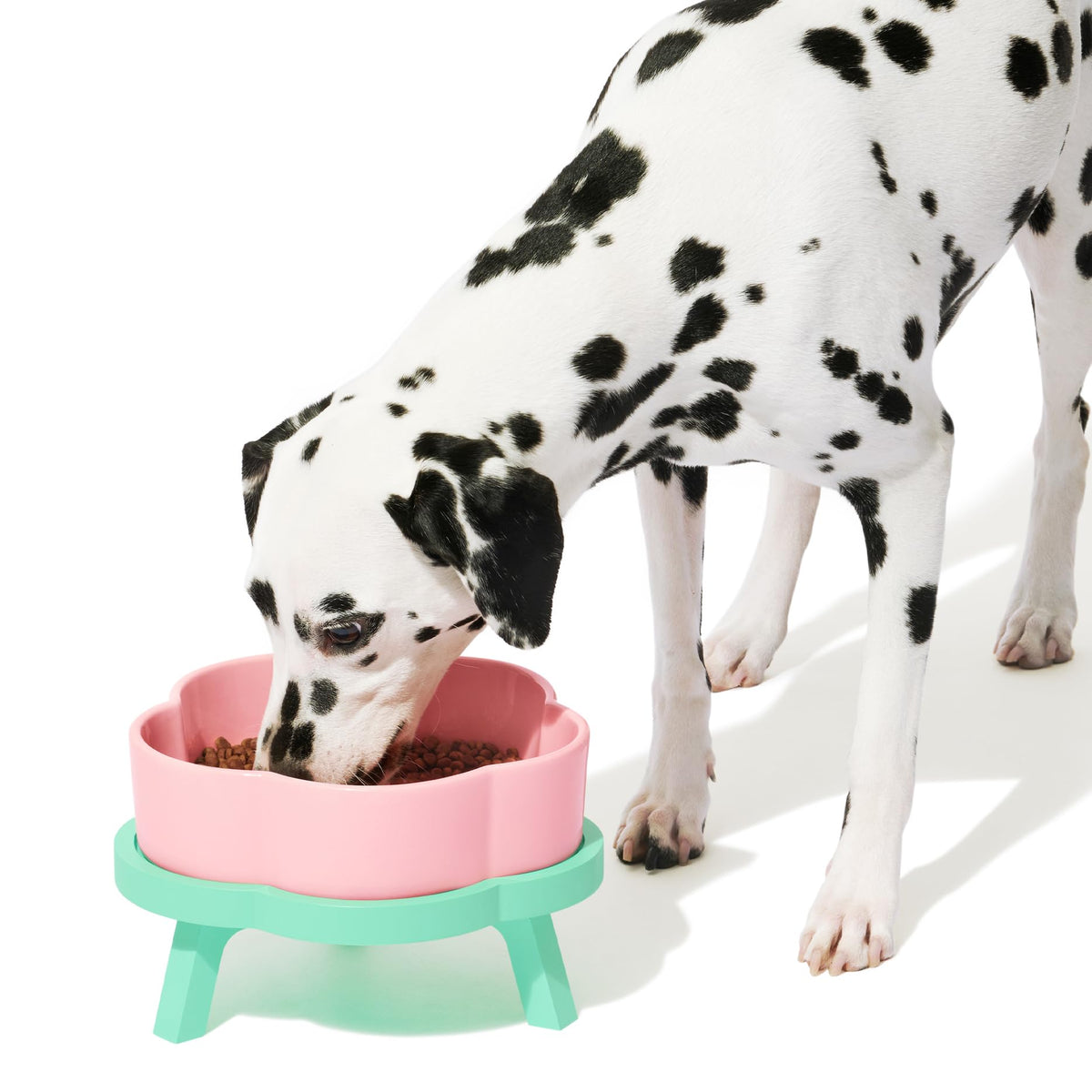 VETRESKA elevated-dog-bowls large 64oz flower-shaped bowl for stable feeding and easy access