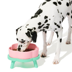VETRESKA elevated-dog-bowls large 64oz flower-shaped bowl for stable feeding and easy access