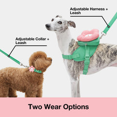VETRESKA Flora collar with secure fit and easy adjustability.