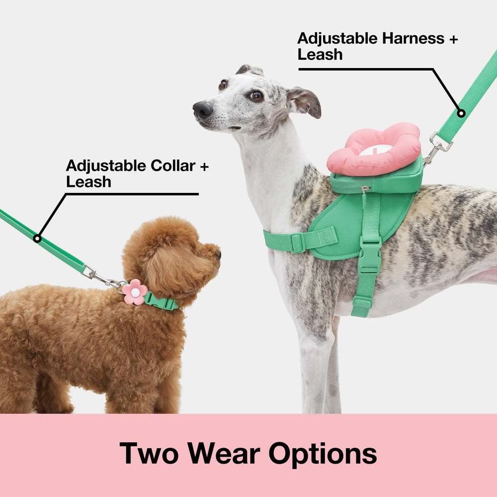 VETRESKA Flora collar close-up highlights secure, durable adjustable fit
