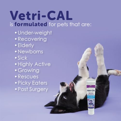 Vetri-Cal dosing spoon showing precise measurement for pets
