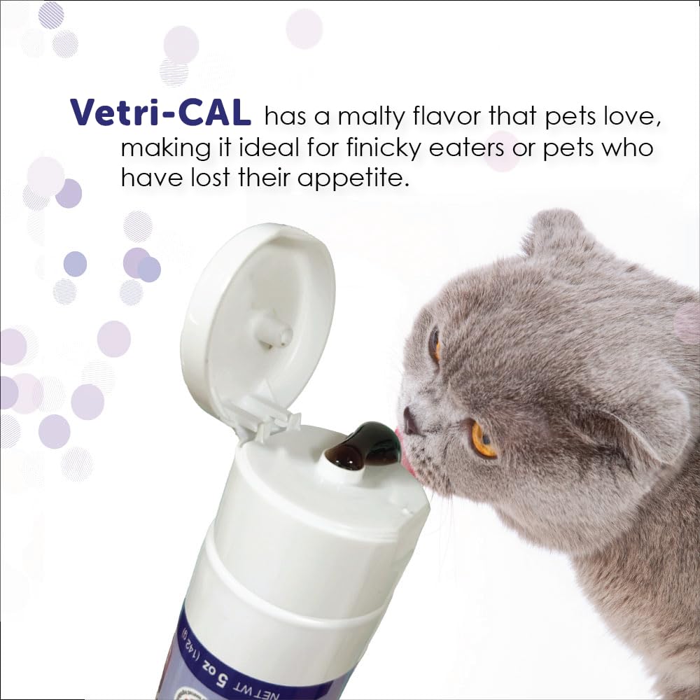 Recovery days with Vetri-Cal gel aiding energy restoration