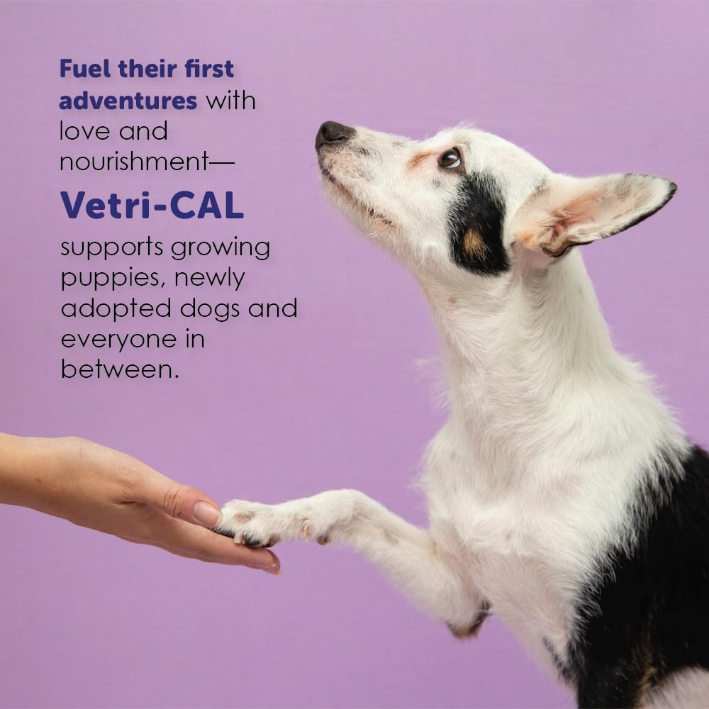 Healthy coat and skin with Vetri-Cal fortified nutrients