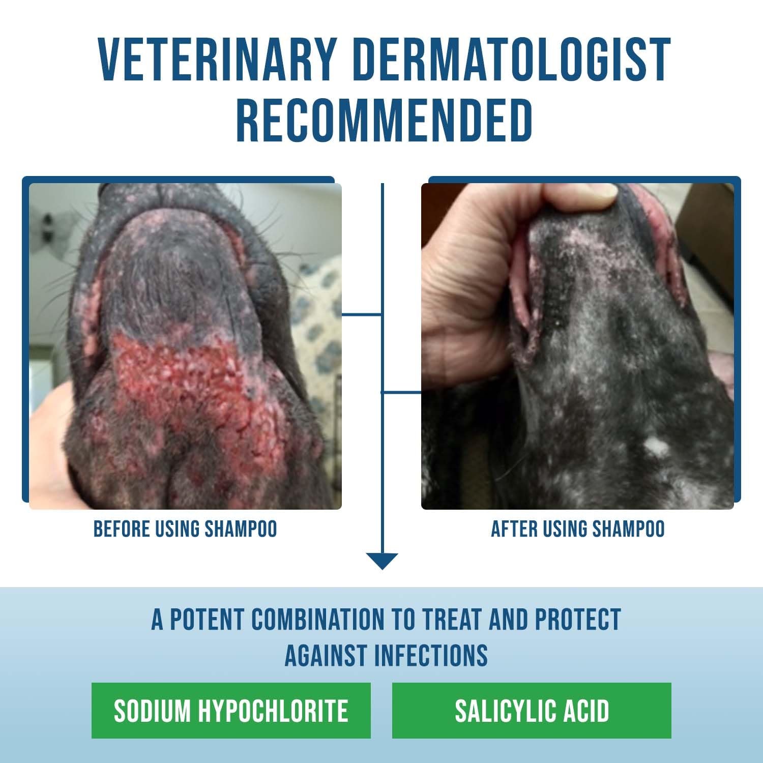 VetriMAX Command dermatologist-recommended formula signals trusted care for itching.