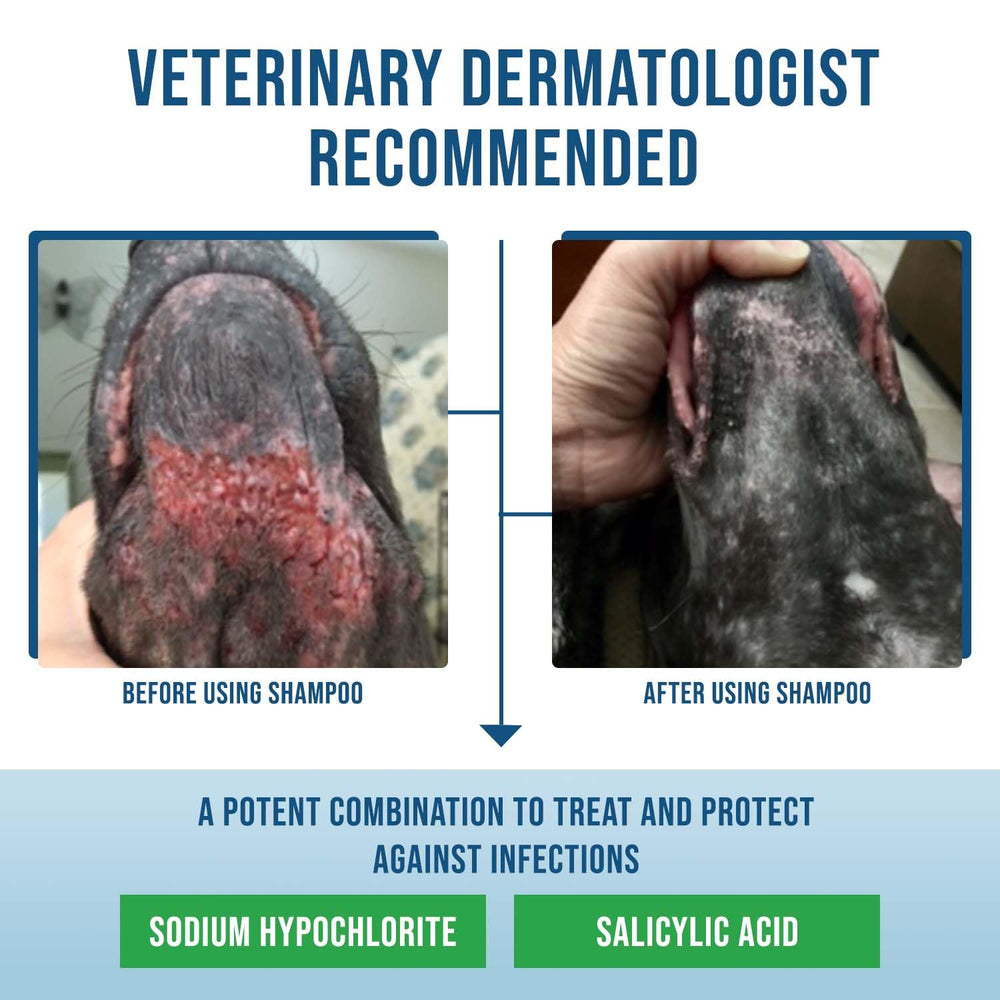 VetriMAX Command dermatologist-recommended formula signals trusted care for itching.