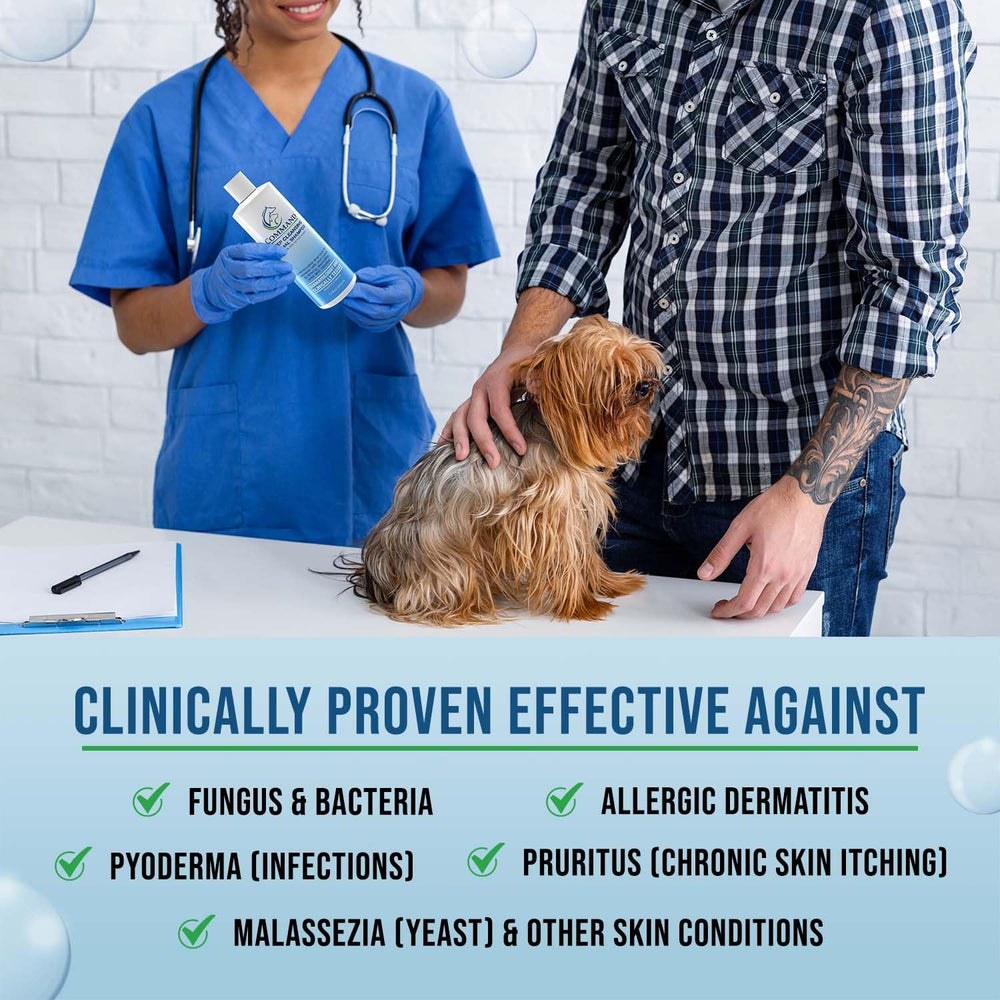 VetriMAX Command dog coat cleanse shows odor control during bath.