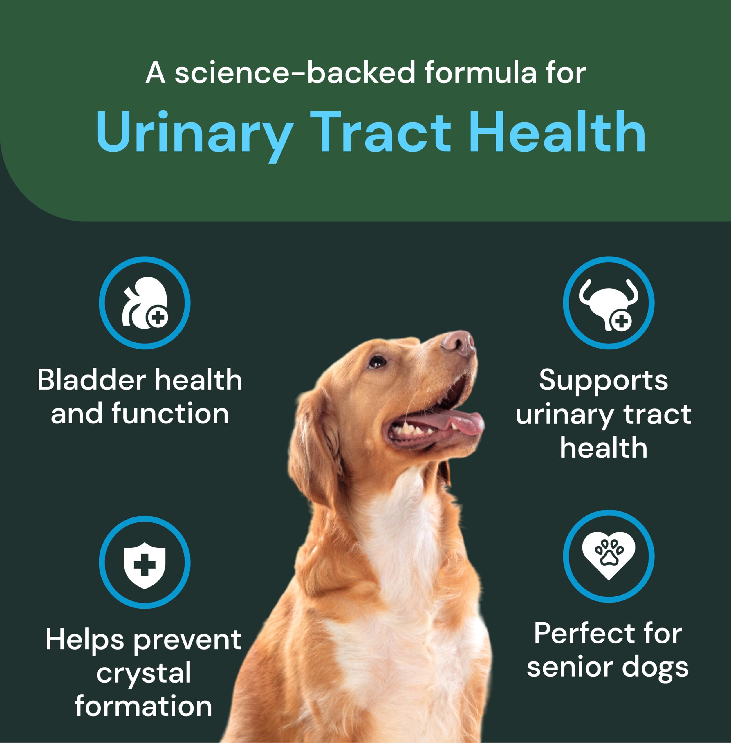 GanedenBC30 label on VetriScience UT Health Chews highlights probiotic support