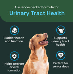 GanedenBC30 label on VetriScience UT Health Chews highlights probiotic support