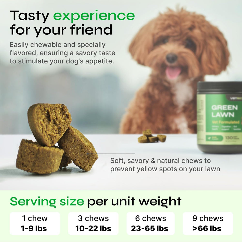 Vetrica immune-boost dog treats designed to support overall vitality.