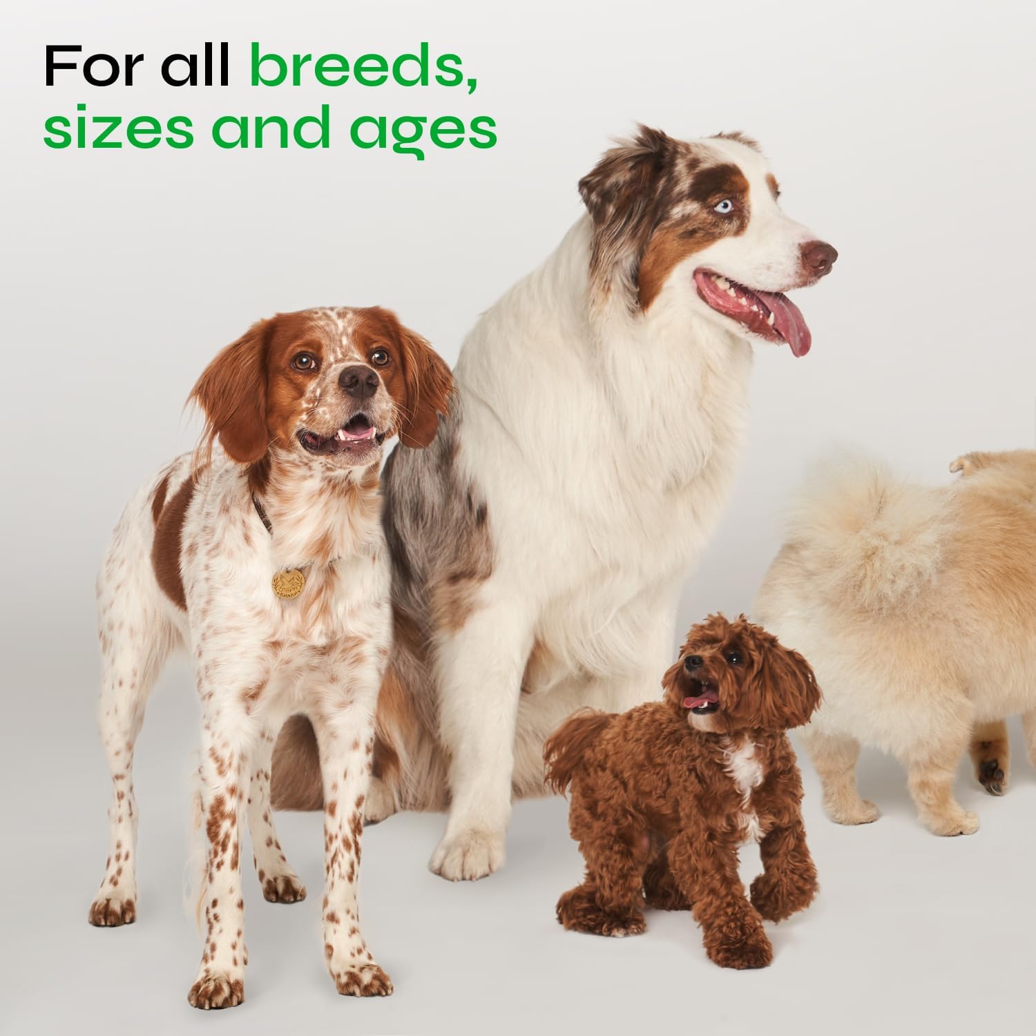 Vetrica urinary tract-support chews promoting normal urinary function.