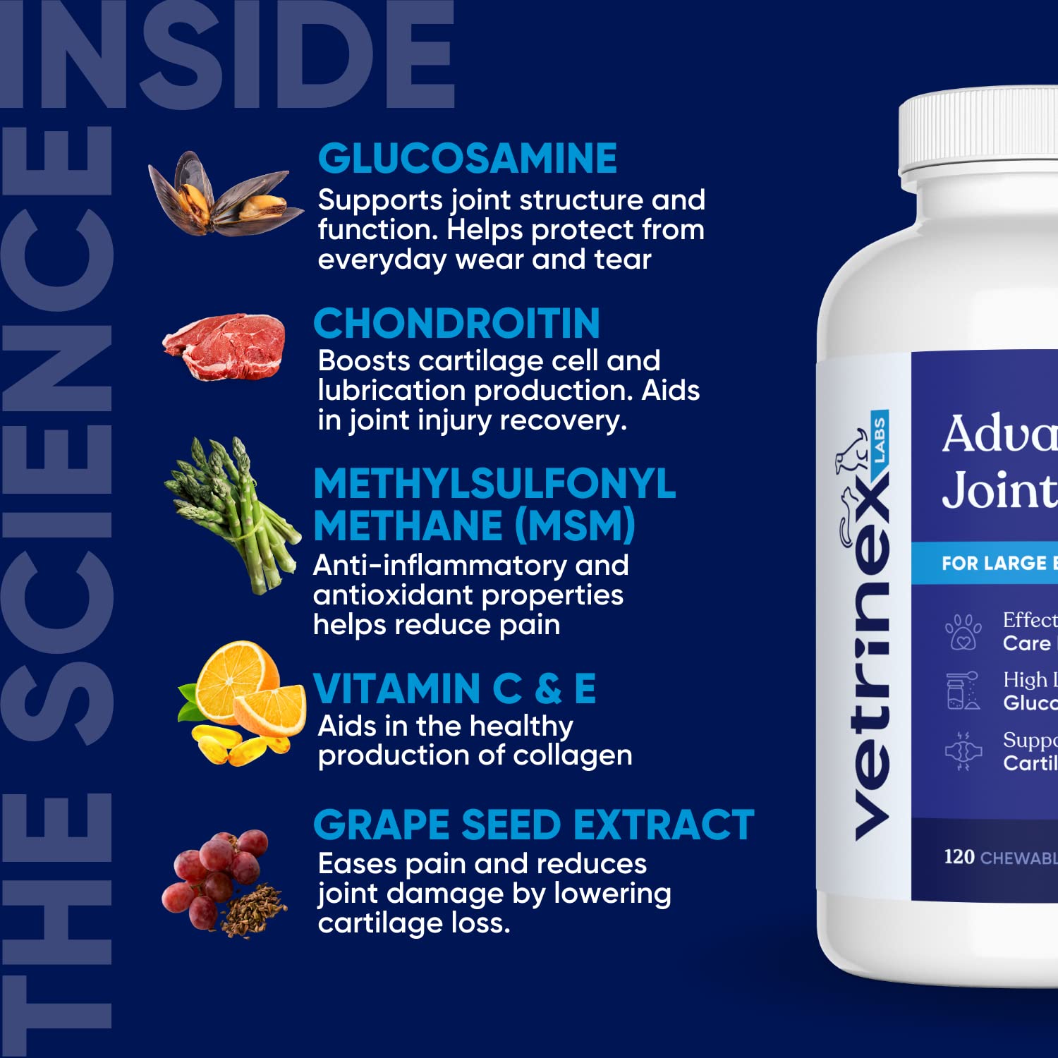 Vetrinex Labs large-breed dog being fed a beef-flavored chew.