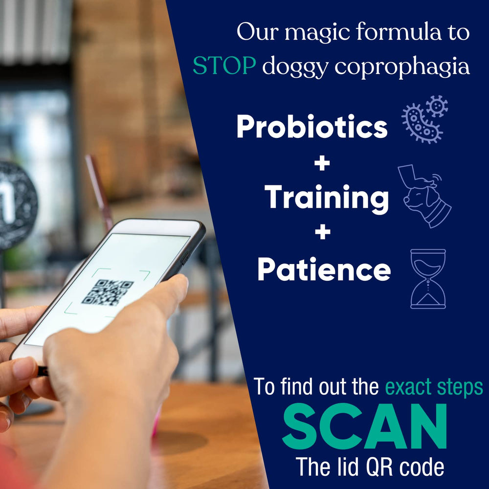 Vetrinex Labs pet-health-immune-support suggests holistic wellbeing through probiotic nutrition.