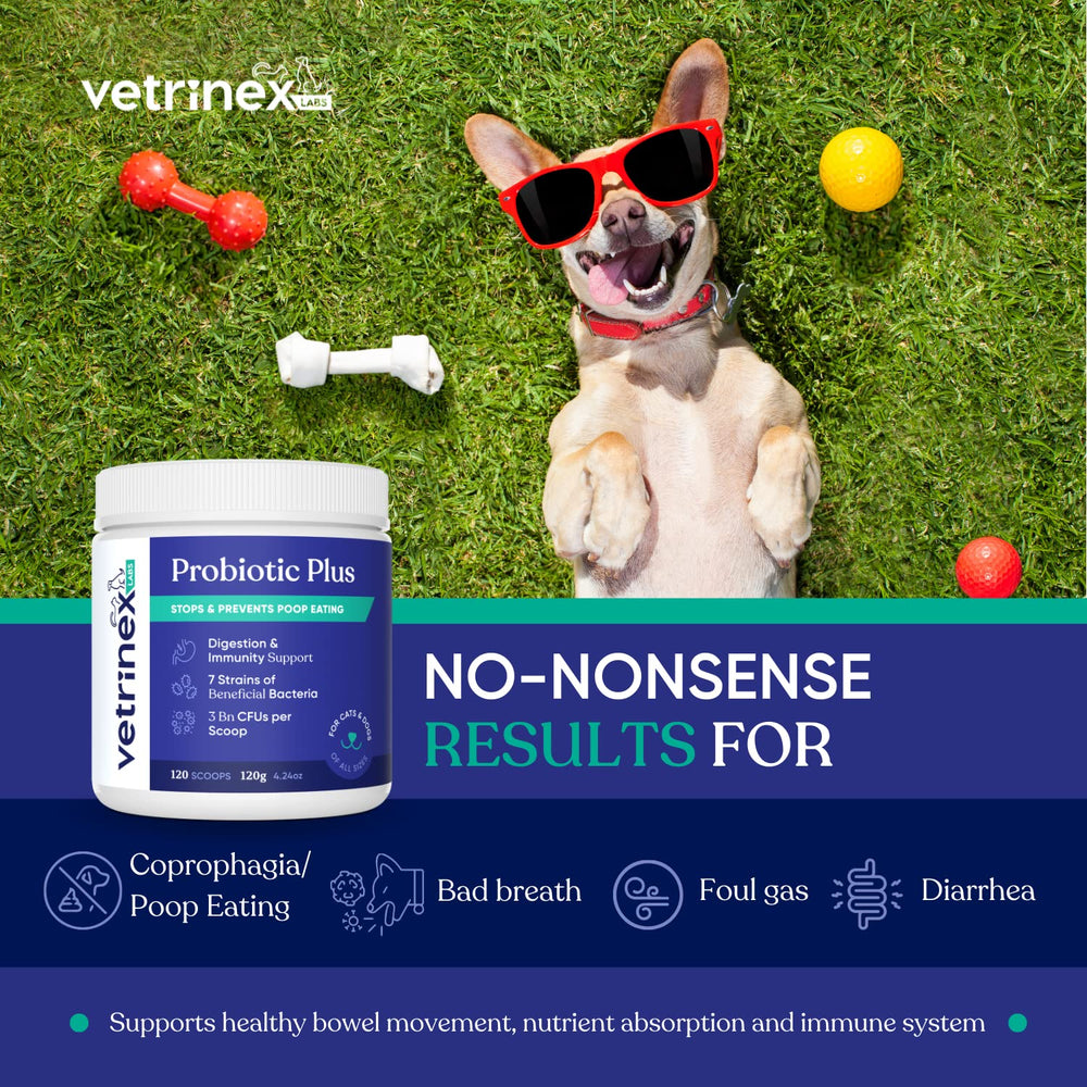 Vetrinex Labs probiotic-7-strain blend-bottle shows premium gut support.