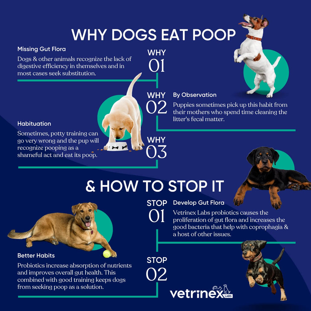 Vetrinex Labs pup-cat-meal-ready-powder enables easy mixing into bowls.