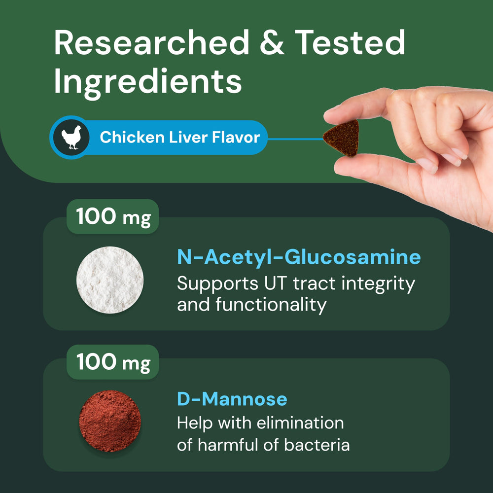 VetriScience UT Health Chews bottle beside chews ready for daily dosing.