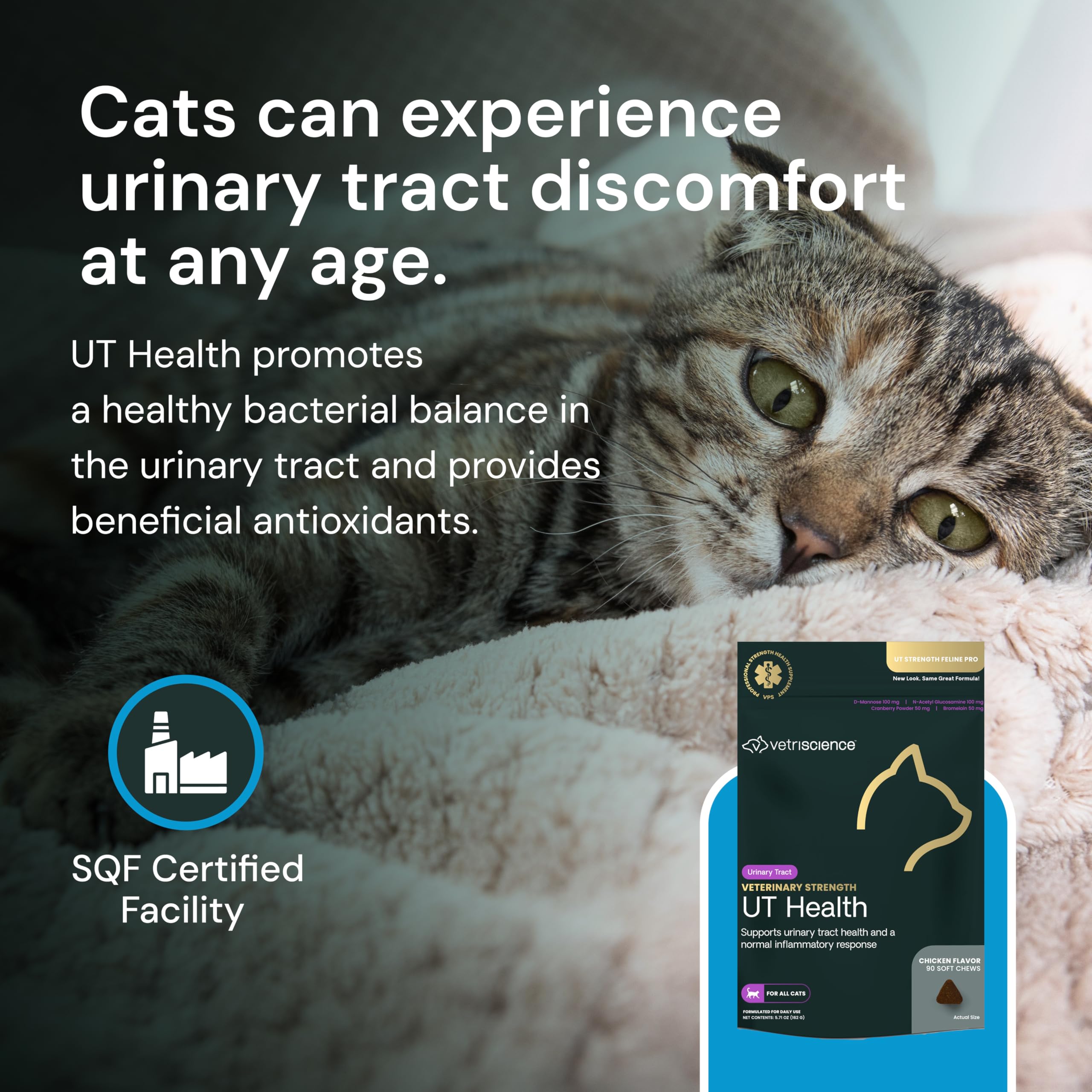 VetriScience UT Health Chews daily-use chart showing routine urinary wellness.