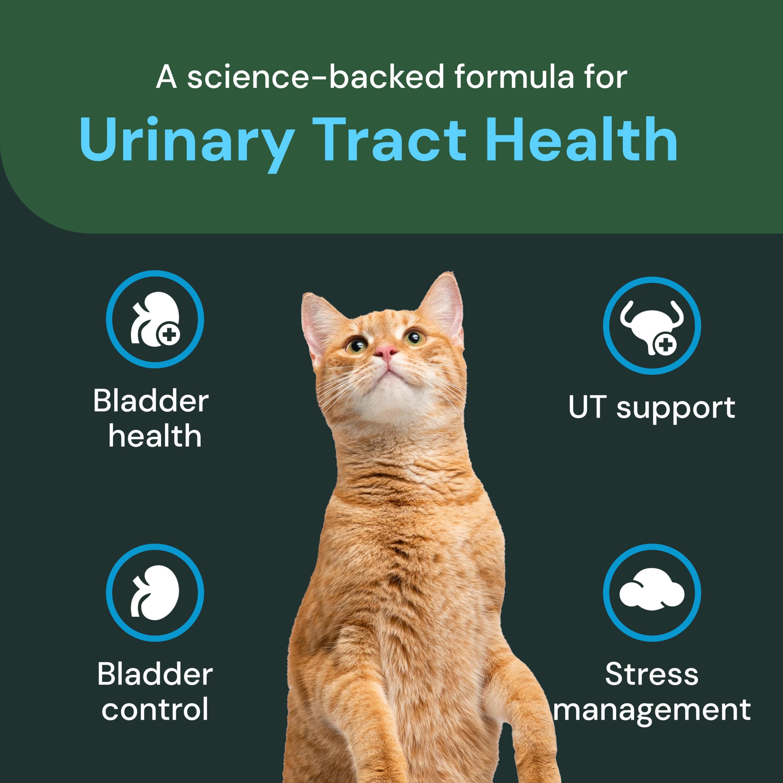 VetriScience UT Health Chews packaging front for easy daily urinary wellness routine.