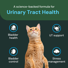 VetriScience UT Health Chews packaging front for easy daily urinary wellness routine.