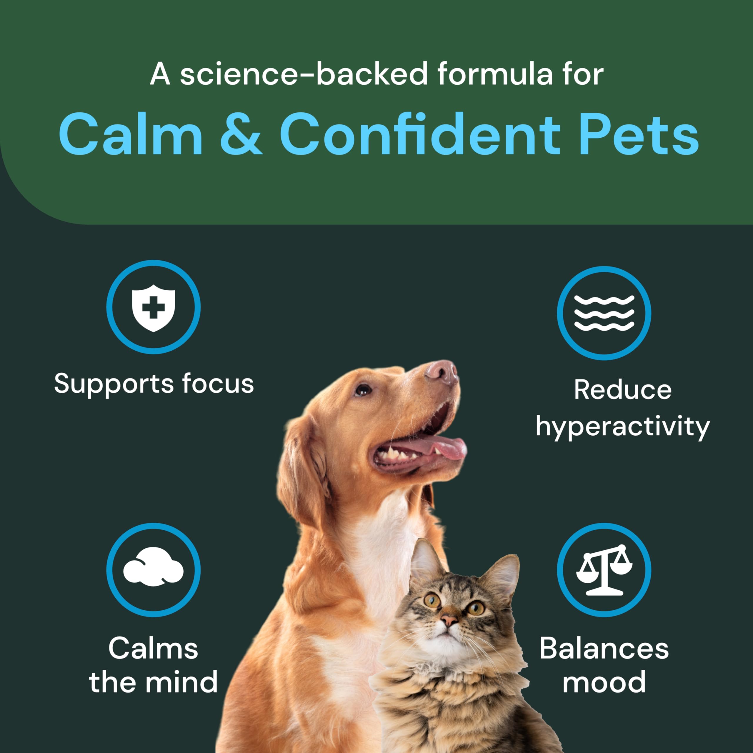 VetriScience Calm & Confident chews ingredients-thiamine: promotes calm behavior and focus.