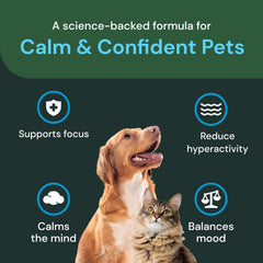 VetriScience Calm & Confident chews ingredients-thiamine: promotes calm behavior and focus.