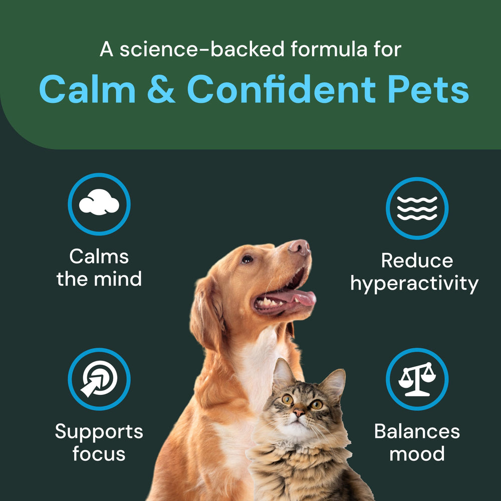 VetriScience Calm & Confident Chews packaging bag front highlights ingredients.
