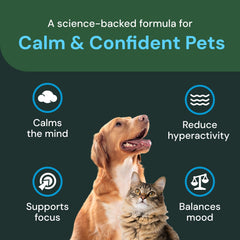 VetriScience Calm & Confident Chews packaging bag front highlights ingredients.