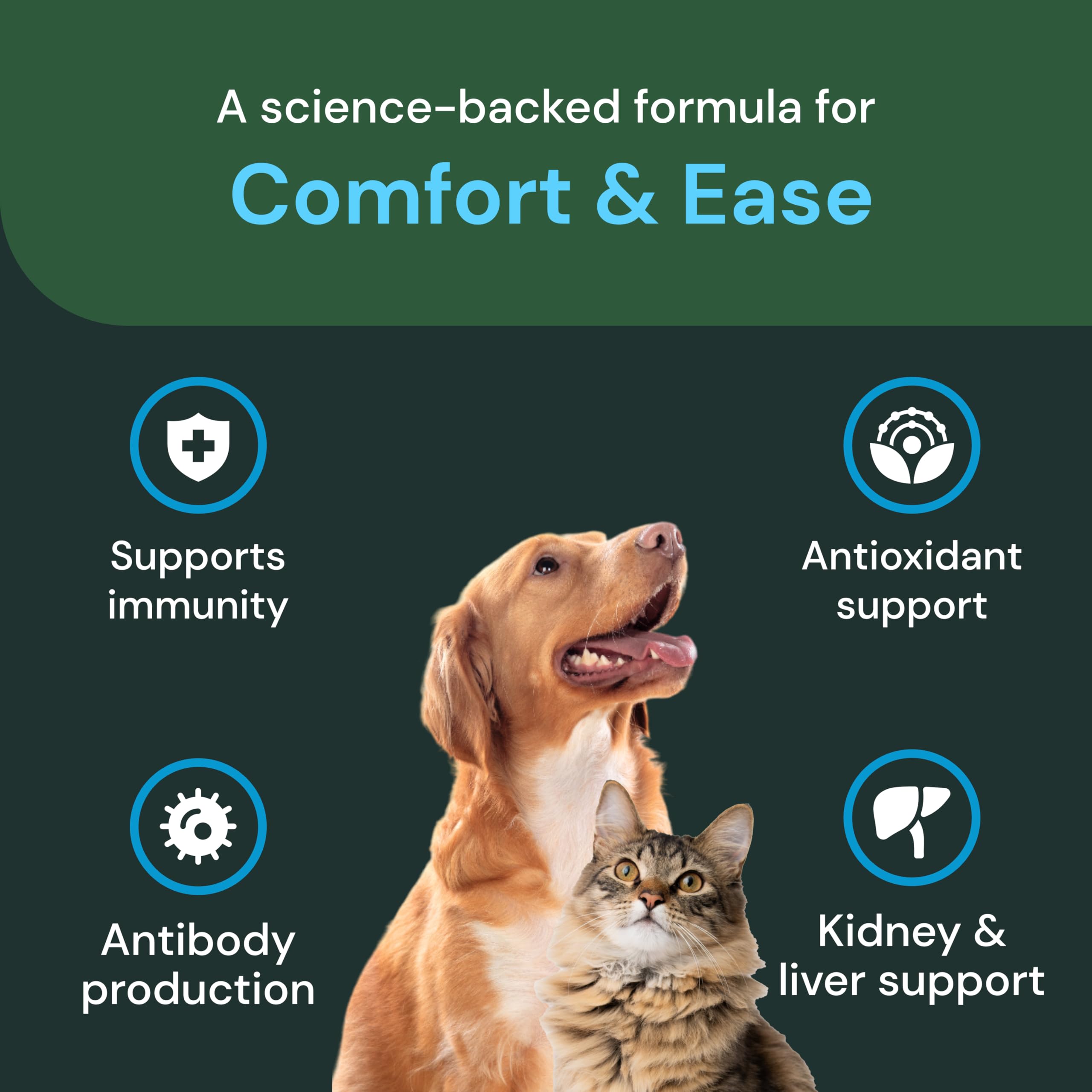 VetriScience Comfort & Ease capsules shown during pet play for better mobility