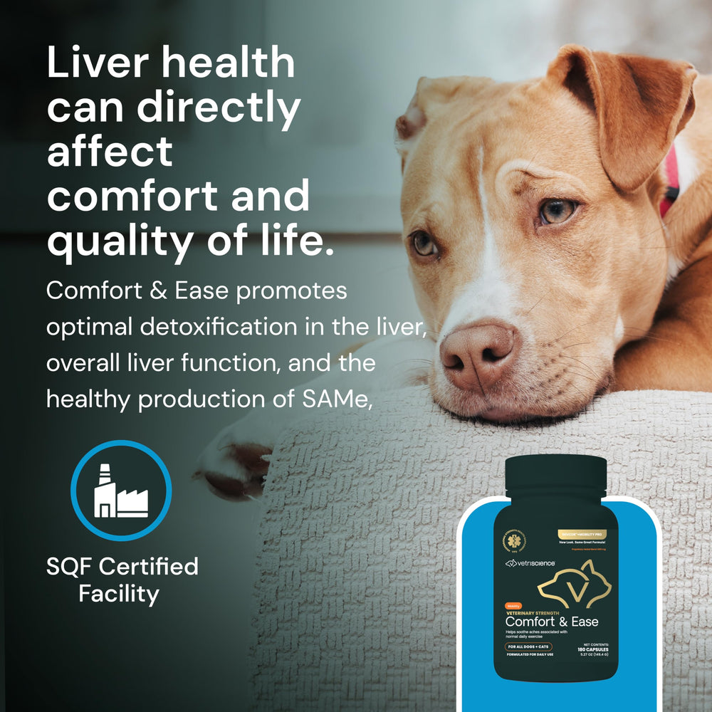 VetriScience Comfort & Ease capsules label showing Boswellia ingredient highlights