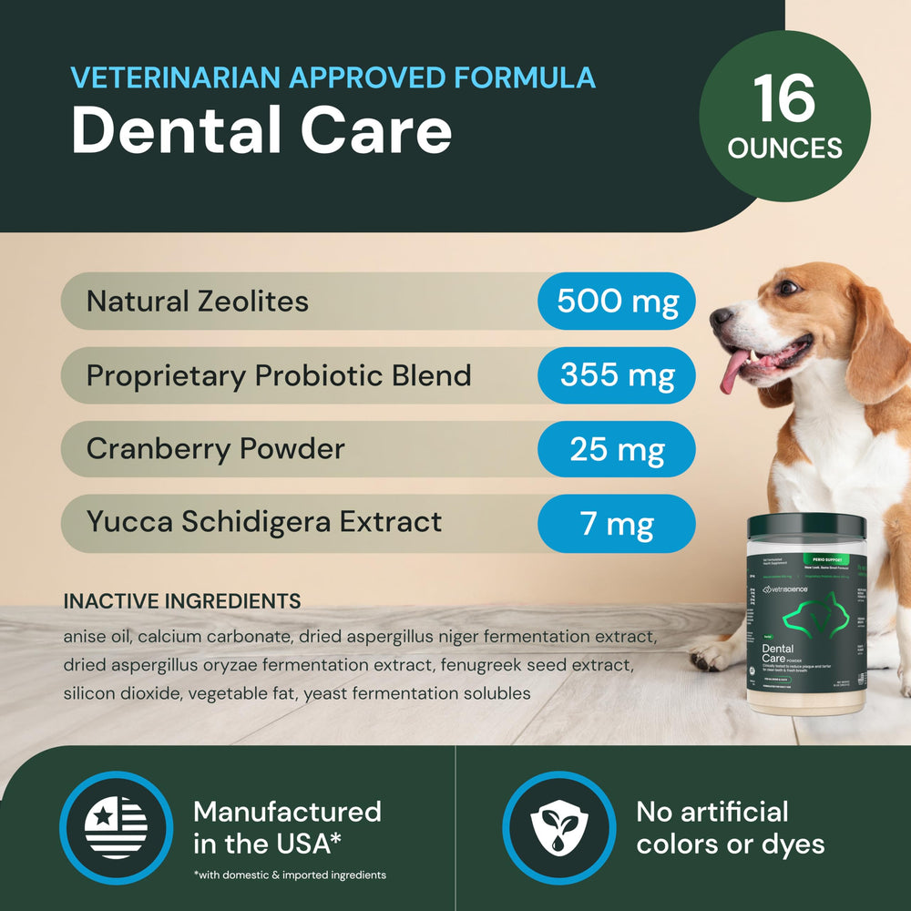 Cat food with VetriScience Dental Care Powder for oral health support.