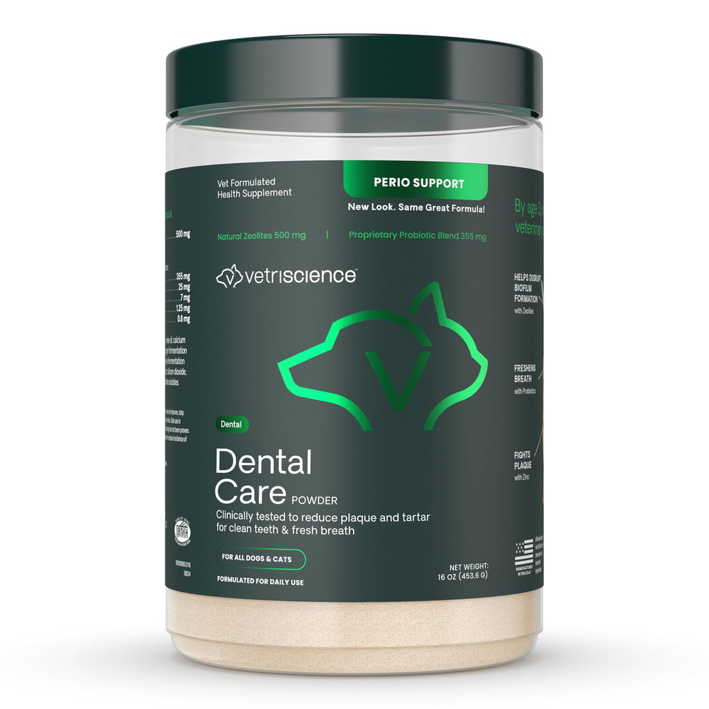 Measuring scoop with VetriScience Dental Care Powder for accurate daily dosing.