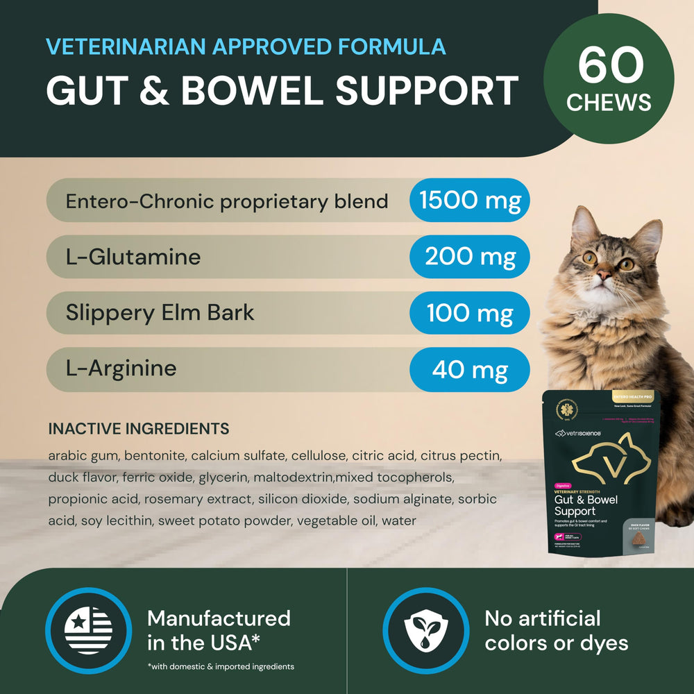 VetriScience Gut & Bowel Support bottle-side highlights the vet-recommended intestinal support.