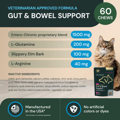 VetriScience Gut & Bowel Support bottle-side highlights the vet-recommended intestinal support.