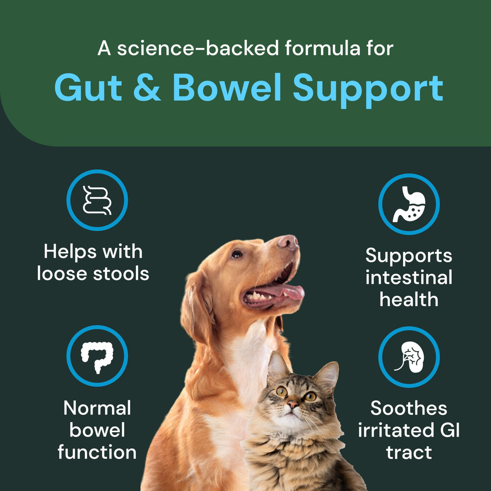 VetriScience Gut & Bowel Support label detail emphasizes gut health formula and dosing.