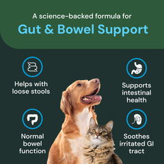 VetriScience Gut & Bowel Support label detail emphasizes gut health formula and dosing.